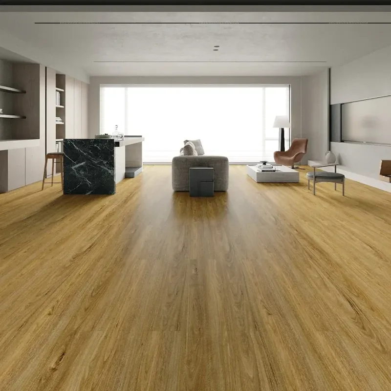 Spotted Gum