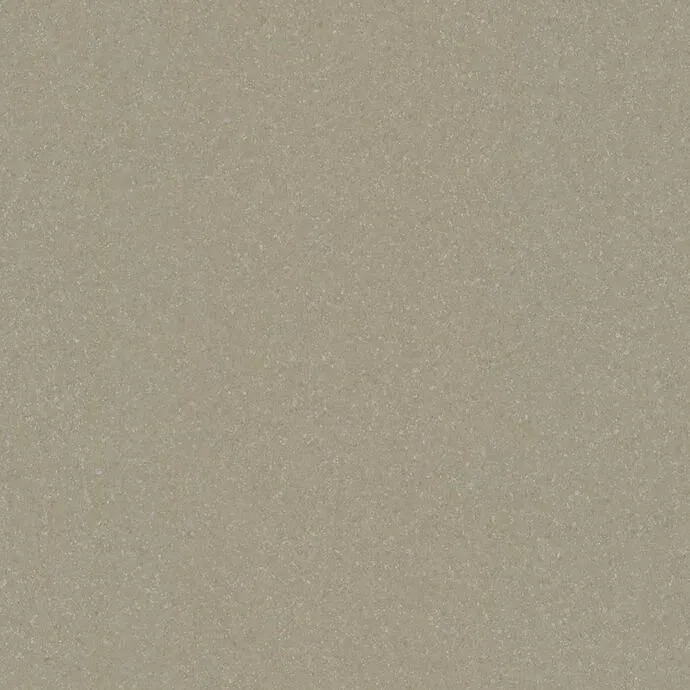 Moleskin