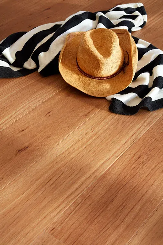 New England Blackbutt