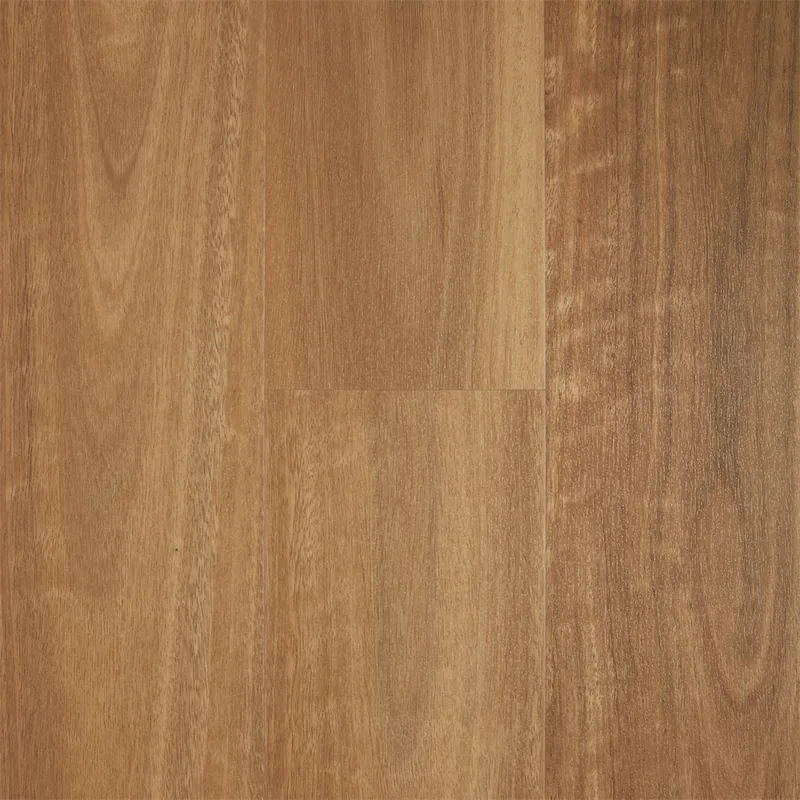 Spotted Gum