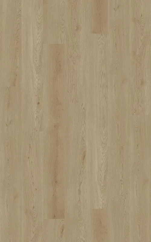 Steamed Oak